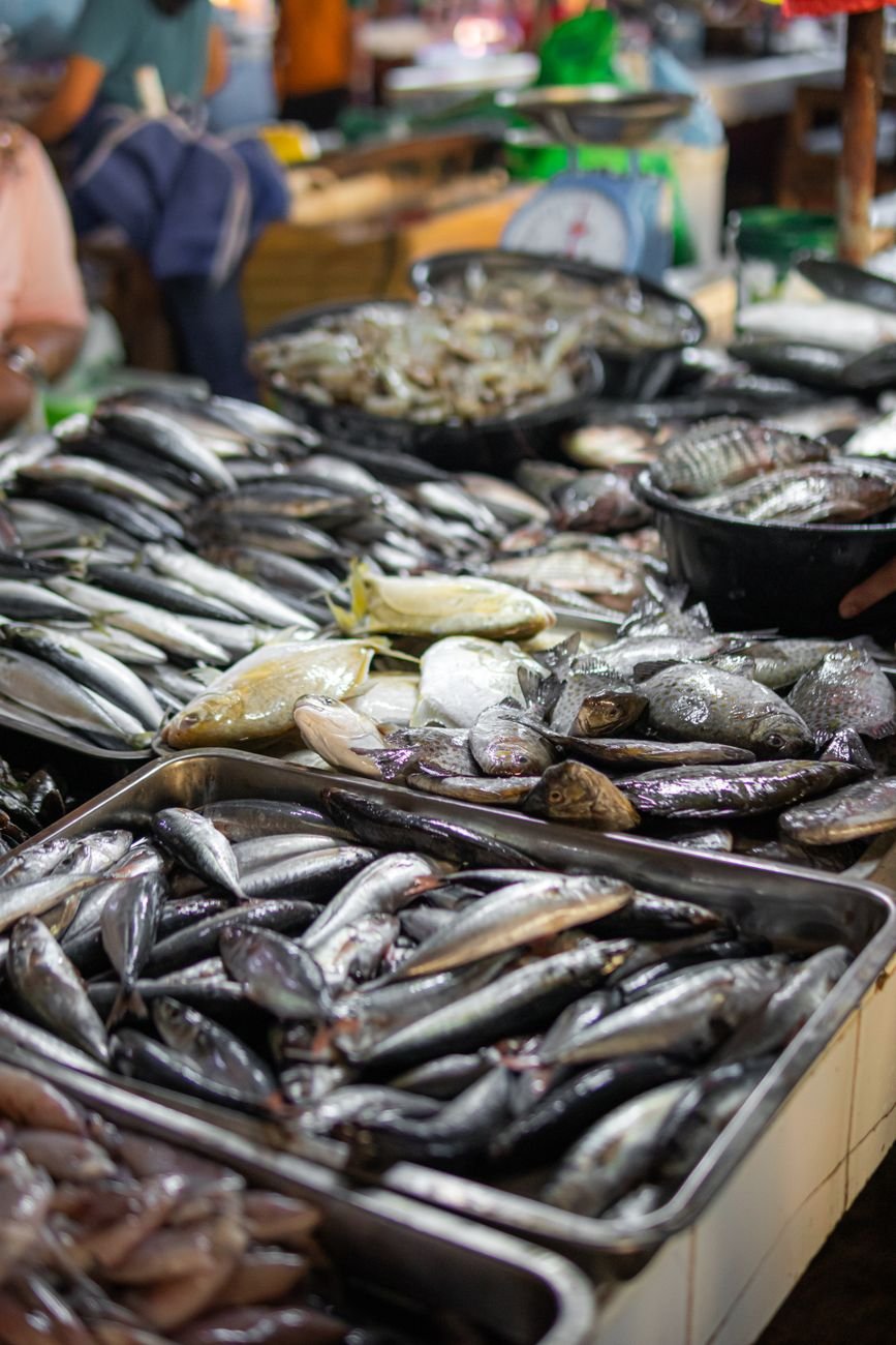 Fresh seafood on display at a market stall.